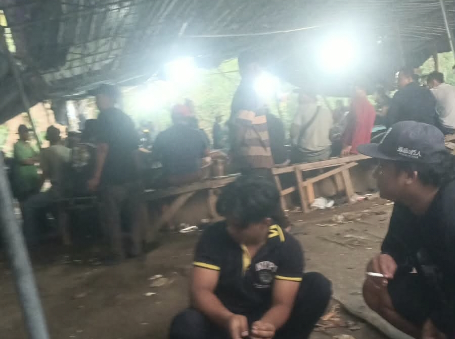 Judi Sabung Ayam Semakin Merajalela, Aparat Kepolisian Seakan Tutup Mata.